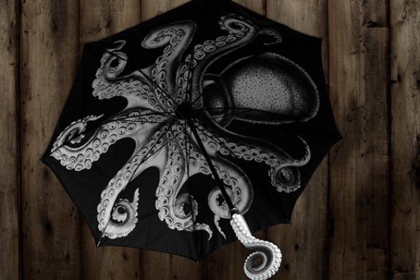 Ссылка на kraken at