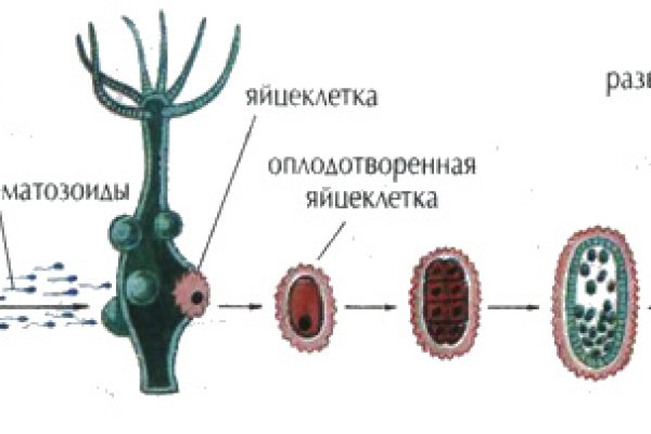 Кракен интернет площадка