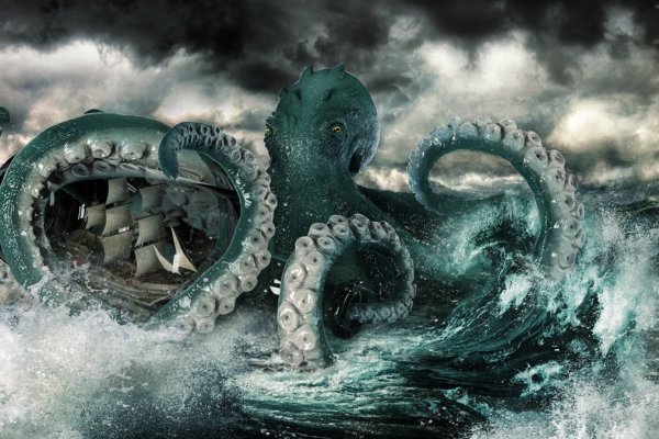 Kraken platform