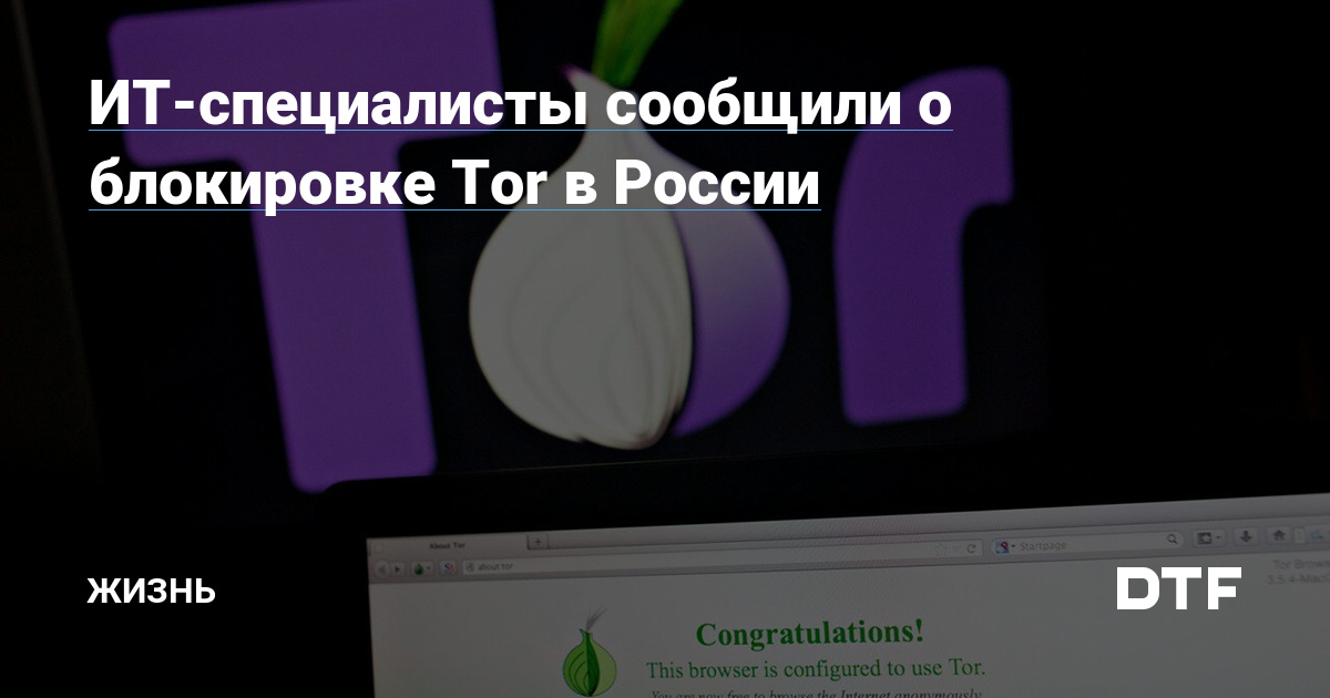 Darknet как войти